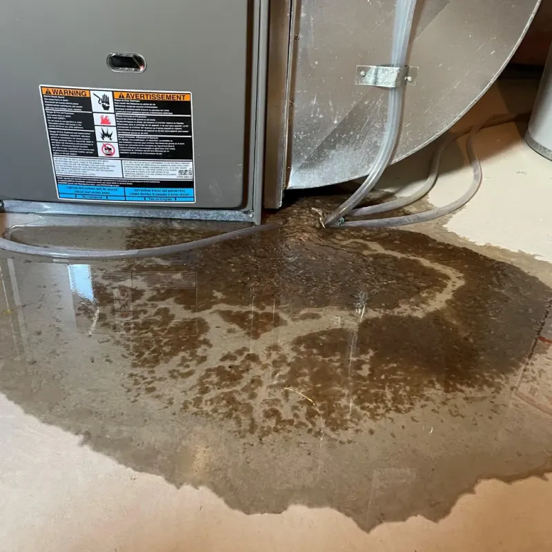 Appliance Leak Cleanup in Mayer, AZ